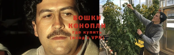 ешки Богородицк
