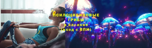 МДПВ Богородск