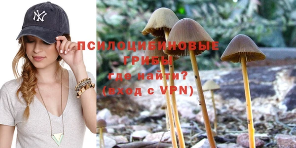 ешки Богородицк